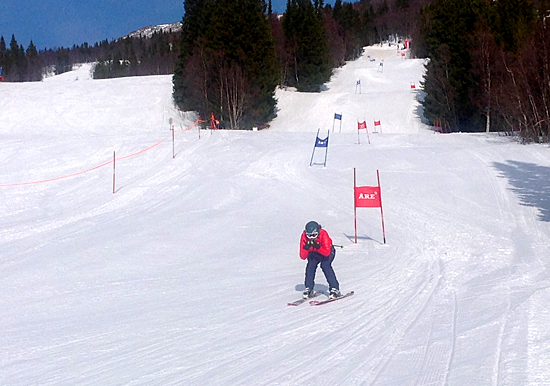 dg_slalom_2015_19