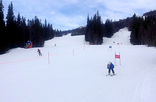 dg_slalom_2015_4